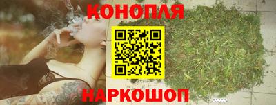 гашик Камышлов