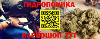 гашик Камышлов
