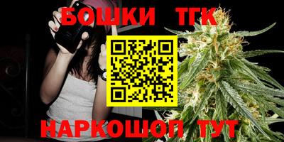 гашик Камышлов