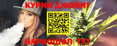 гашик Камышлов