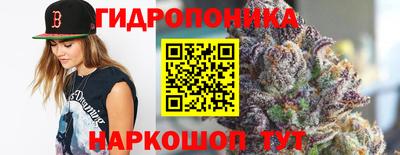 гашик Камышлов