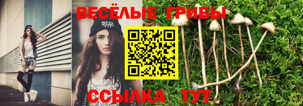 Люберцы  Псилоцибиновые грибы Cubensis  Вход с VPN 